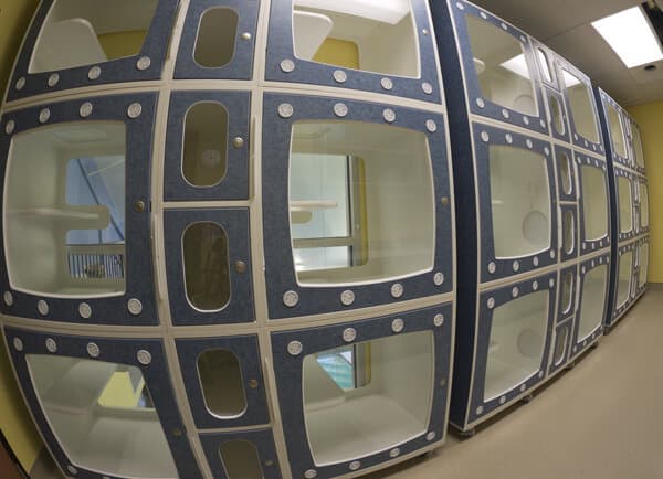 Advanced Animal Care - Image 4