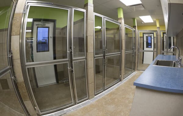 Advanced Animal Care - Image 5