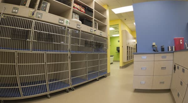 Advanced Animal Care - Image 14