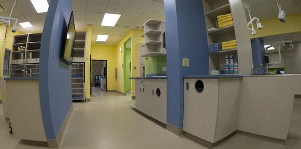 Advanced Animal Care - Image 19