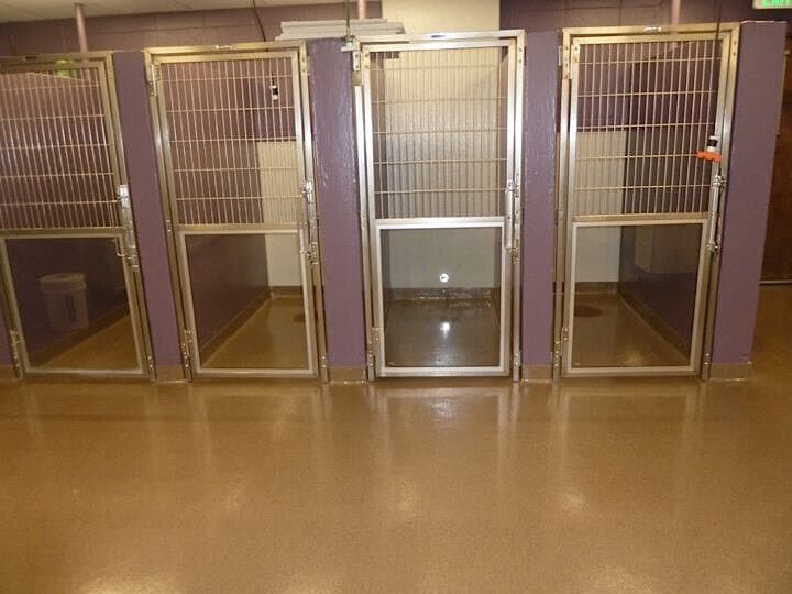 Fort Collins Veterinary Emergency Room - Image 6